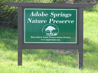 Adobe Springs Sign