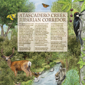 Riparian and Atascadero Creek - Meadow Kiosk